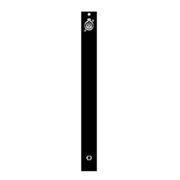 Axia Quasar 2001-00579-000-U Mic in/HP Out Module, .25U Wide 1 CH