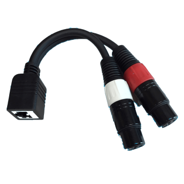 RAM RJ45F DXLR3F Female RJ45 to Dual XLR3F (sub for Studio Hub)