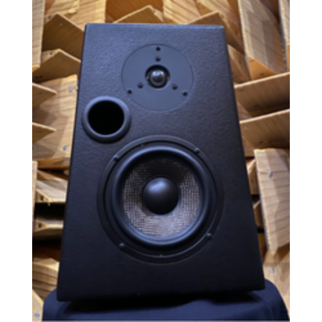 PTS Gear Ptspkr 6-1/2 " Two Way Passive Studio Confidence Monitor Each
